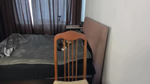 Zoe online show from February 27, 10:30 am