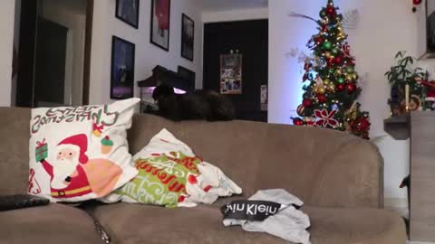 Snapshot of morgan_hiller chatting on December 3, 8:55 pm   online show from December 3, 8:55 pm