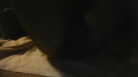 mothmon online show from November 22, 3:49 am