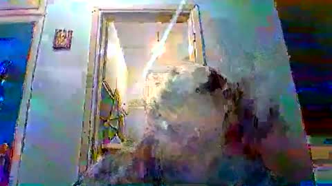 mppempis81 online show from January 10, 9:31 pm