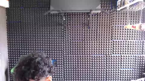 Call me Angel please online show from January 5, 5:27 pm