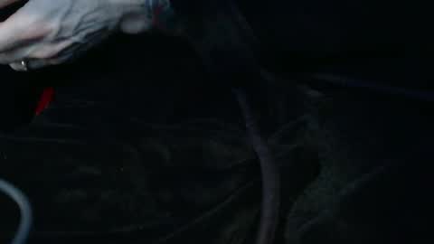 IwantU2WatchME online show from February 8, 3:15 pm