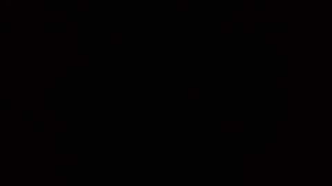 Nikola online show from February 16, 8:01 am