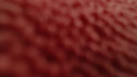 rooster70 online show from April 27, 1:19 pm