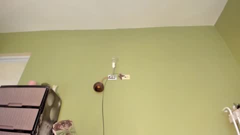 MsPurrfectLove online show from November 12, 3:14 pm