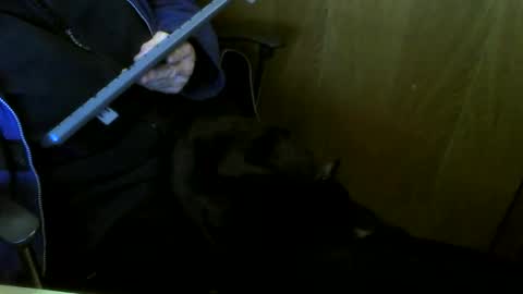 muller520 online show from January 8, 5:08 pm