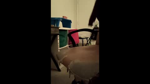 nafl2358 online show from March 18, 10:26 pm