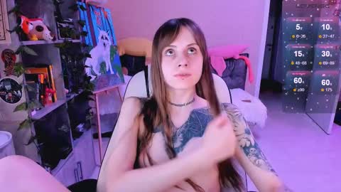 Monday-Friday 12-4 AM and 6-9 AM New York time online show from February 19, 11:36 pm