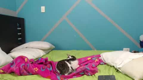 nanna_and_balder2 online show from November 1, 4:33 am