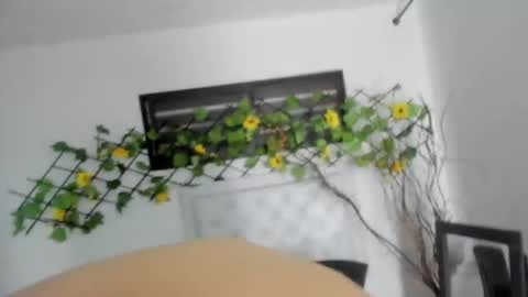 Snapshot of narciso_kh chatting on September 29, 3:16 am deibyd online show from September 29, 3:16 am