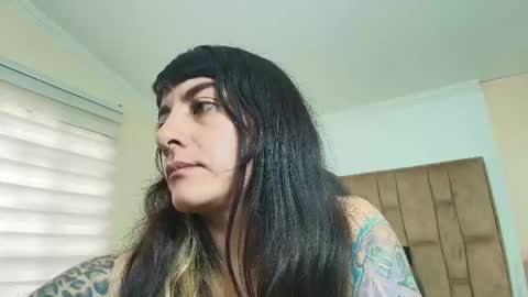 Kitten online show from March 13, 12:19 pm