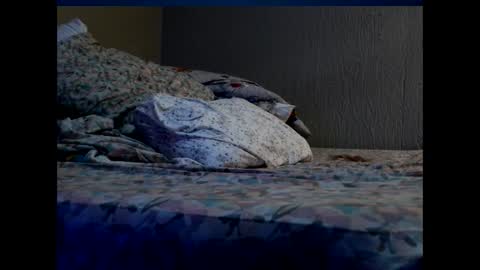 INDY online show from December 1, 10:13 am