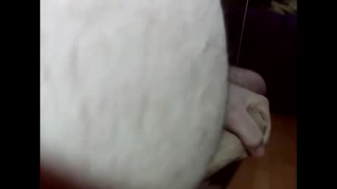 ncbncb online show from March 1, 8:21 pm