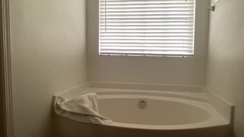 ncj2113 online show from April 17, 6:10 pm