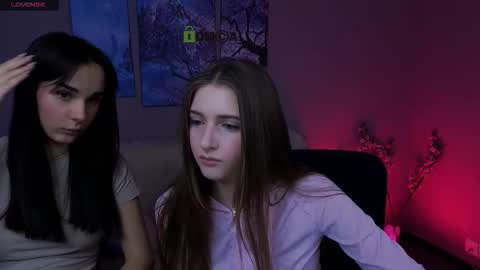 Meow online show from January 17, 10:24 am