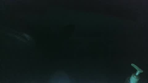 nelsonbucara online show from March 8, 10:00 am