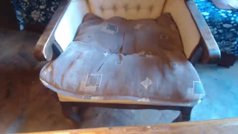 Lilly  online show from March 5, 1:17 pm