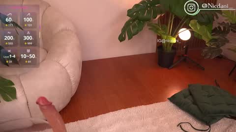 Dani 3 online show from January 12, 1:01 am