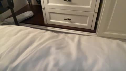 Nice Gentle Naughty online show from August 9, 7:51 pm