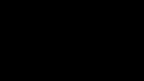 Nicole online show from December 21, 11:33 pm