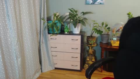 Nika online show from February 19, 9:58 pm