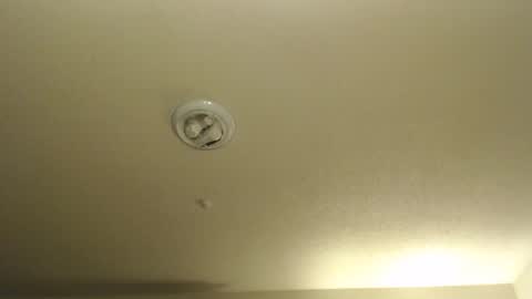 Nikki Mastersgirl1091 online show from February 15, 2:27 pm