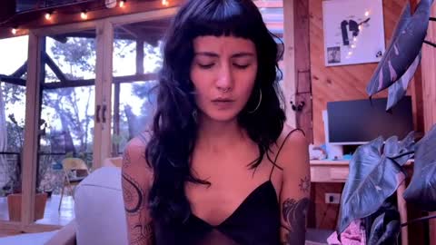 Nina.  online show from April 4, 9:11 pm