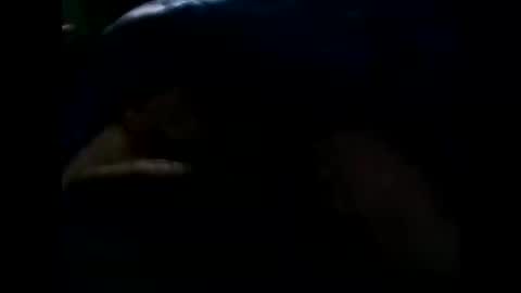 njav77 online show from January 7, 3:22 am