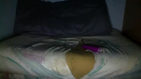 njp360 online show from November 8, 11:24 am