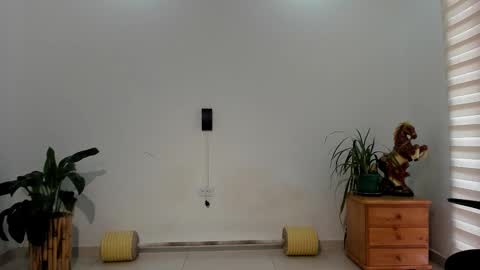 LIAM- noah online show from March 11, 2:09 pm