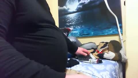 Jonny Coxman online show from March 12, 10:52 am