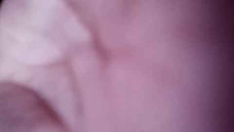 sim  nib online show from February 8, 8:42 am