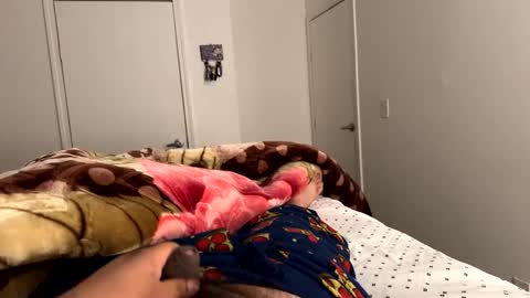 se le perdio algo perra hp online show from December 6, 8:10 am