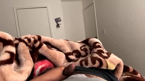 se le perdio algo perra hp online show from March 7, 8:13 am