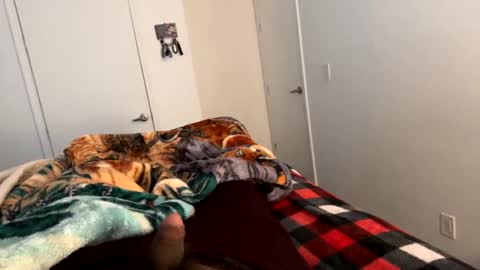 se le perdio algo perra hp online show from January 2, 4:24 pm