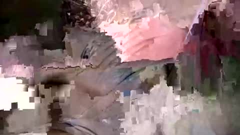 notmedesigned online show from March 29, 8:27 am