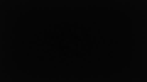 noxiebelle online show from November 30, 10:39 pm