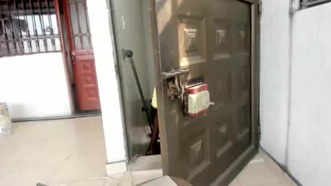 nreus online show from December 22, 6:47 pm