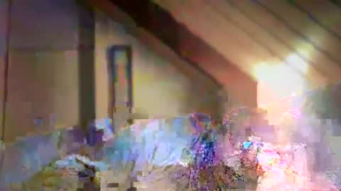 Snapshot of nurod chatting on December 29, 4:40 pm nurod online show from December 29, 4:40 pm