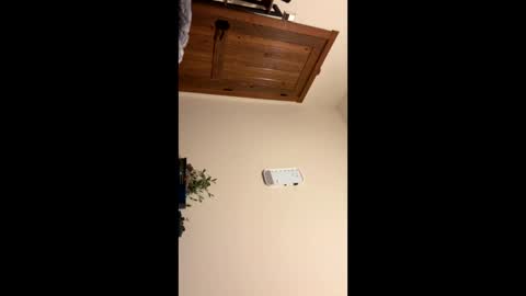 Piecer online show from September 14, 2:47 am