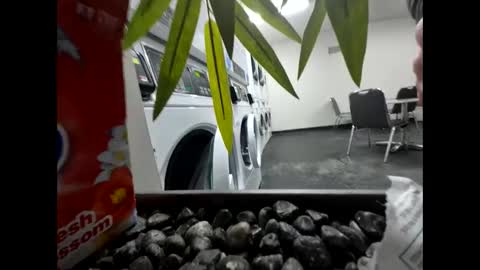 obedient9402 online show from February 26, 8:56 pm