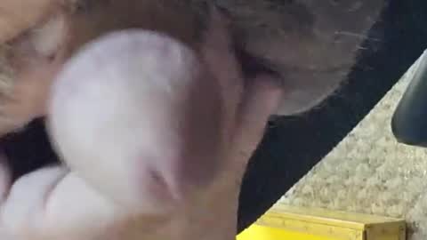 oldmanhorny19 online show from September 15, 7:37 pm