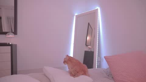 Ariel online show from November 30, 12:18 am