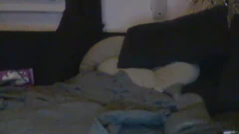 onkel90 online show from October 31, 10:54 pm