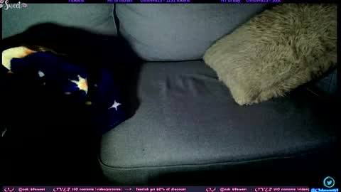  OF - Ooh 69sweet SNAP4LIFE OFFLINE  899 normal  VIP 1369 outside  online show from November 4, 3:19 am