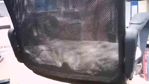 oren online show from September 21, 9:46 am