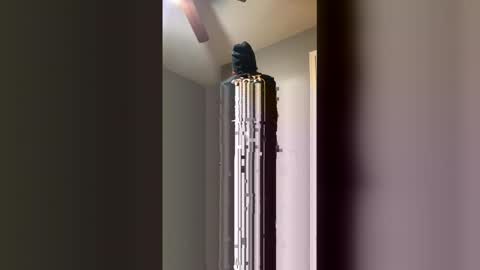 osanam04 online show from March 15, 6:44 pm