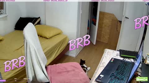 Snapshot of osito_blanco chatting on January 30, 5:19 am Osito Blanco online show from January 30, 5:19 am