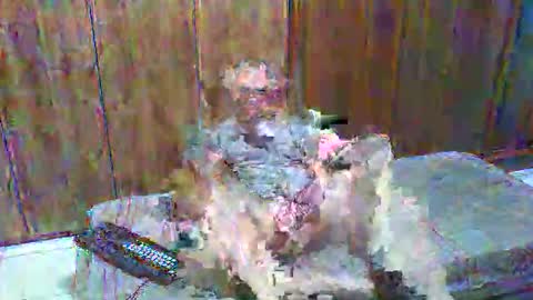 oxiddixo online show from January 9, 2:28 am