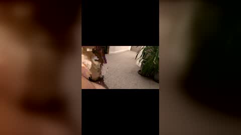 Oxo online show from December 4, 6:51 pm